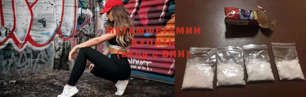 гидра Богородицк