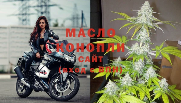 гидра Богородицк