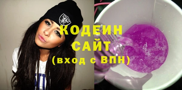 гидра Богородицк