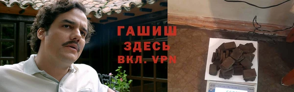гидра Богородицк