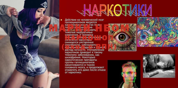 гидра Богородицк