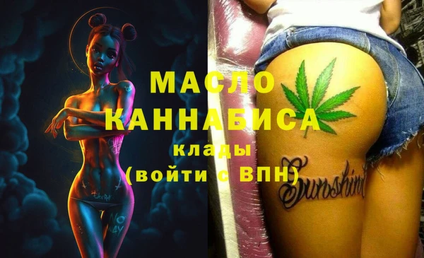гидра Богородицк