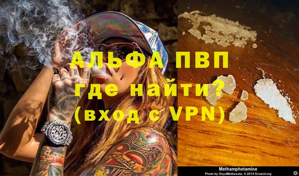 гидра Богородицк