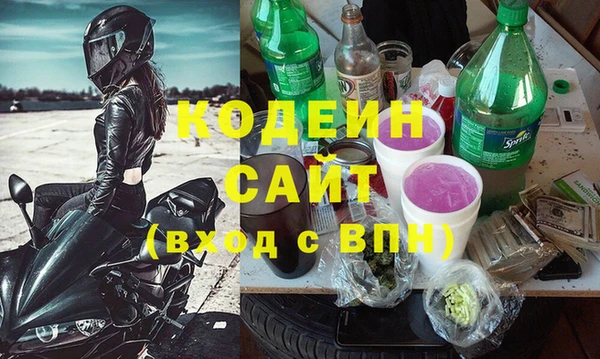 гидра Богородицк