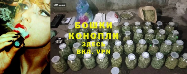 гидра Богородицк
