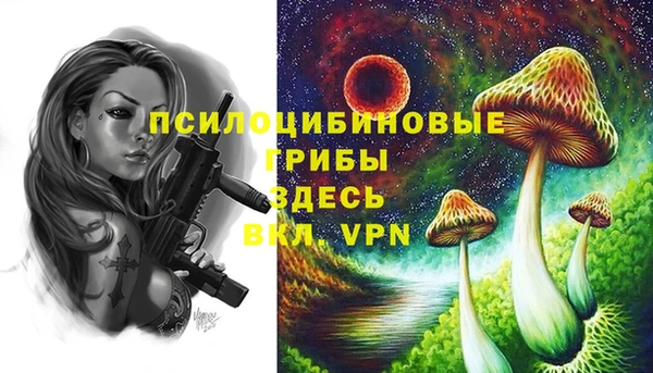 гидра Богородицк