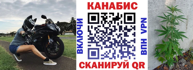 Каннабис гибрид  цены наркотик  Новотитаровская 